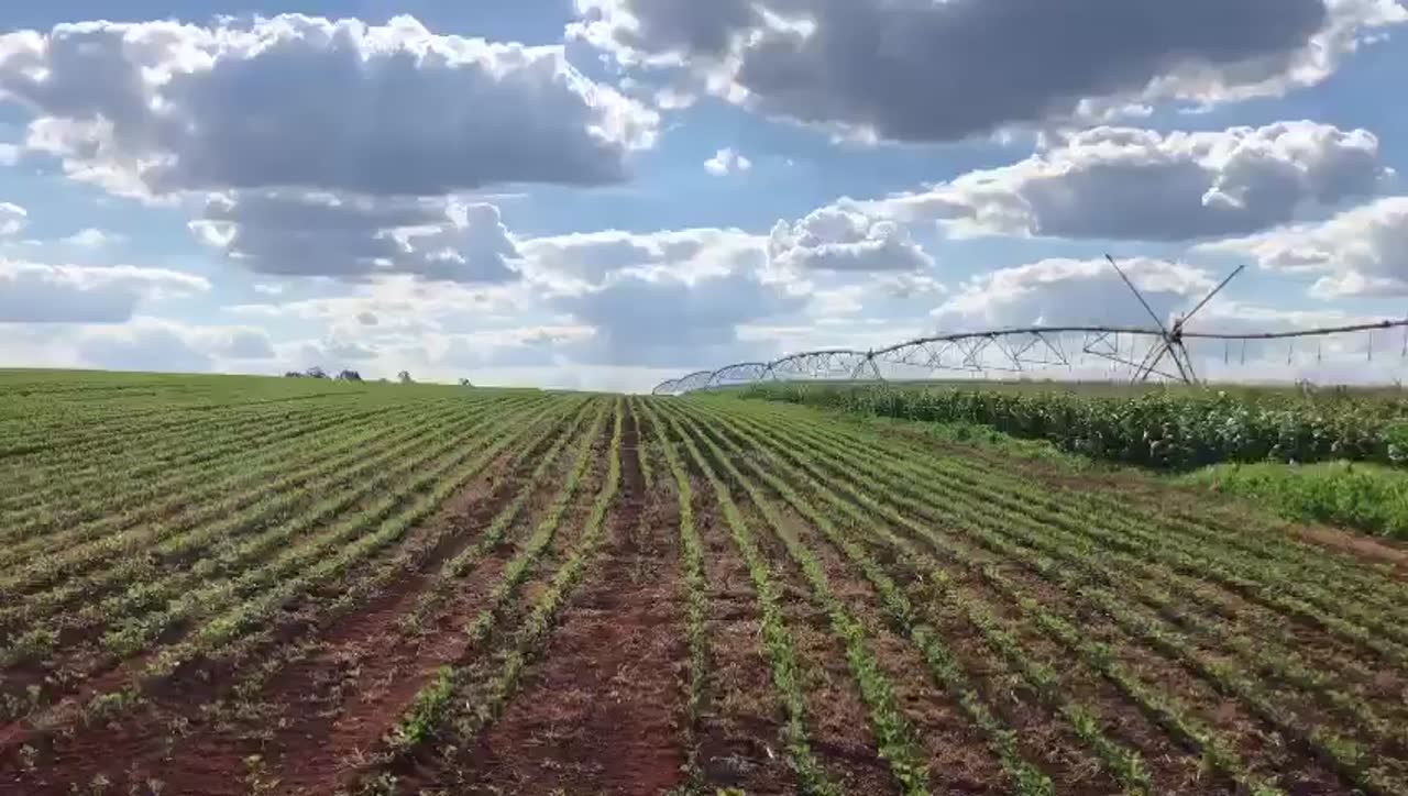 Pivô central irrigando a lavoura da Fazenda São Benedito